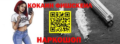 мдпв Кингисепп
