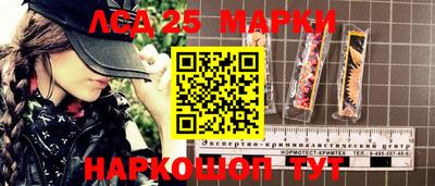 мдпв Кингисепп