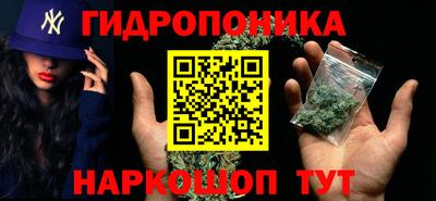 спиды Кимры