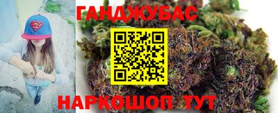 мдпв Кингисепп