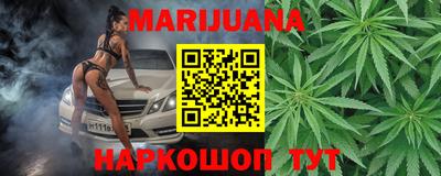 мдпв Кингисепп