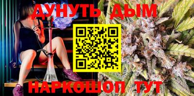 мдпв Кингисепп