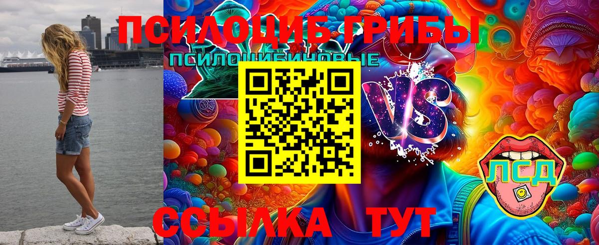 Волжский  Псилоцибиновые грибы GOLDEN TEACHER  Вход с VPN 
